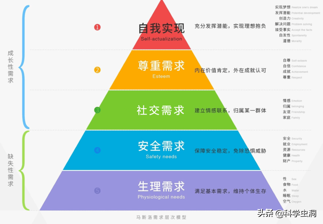 毛骨悚然的25号宇宙实验：在人造天堂里，鼠群560天后走向灭亡