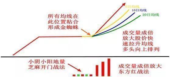 一位民间股神的退市感言：写给所有迷失的散户