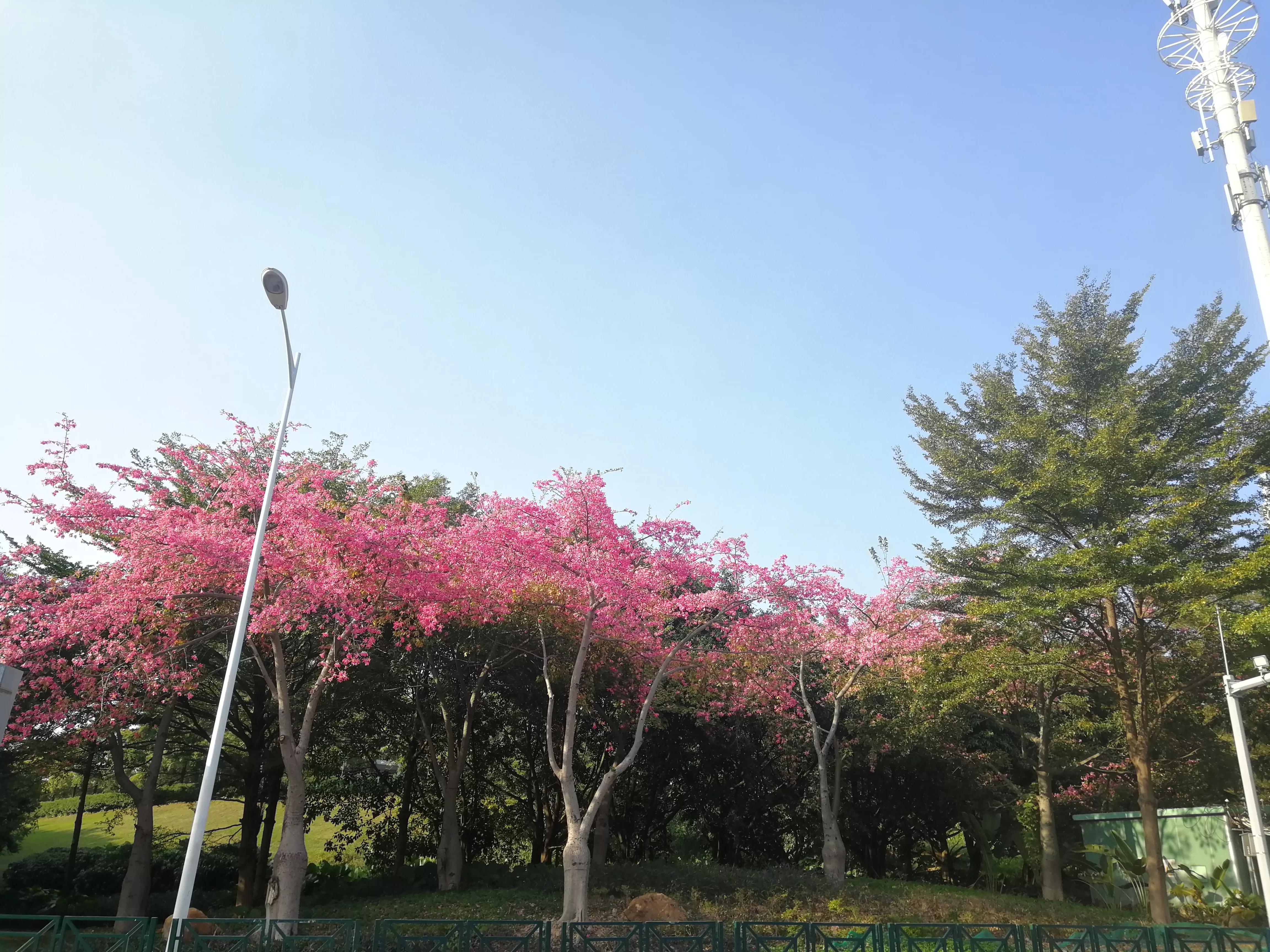 地铁4号线广州大学城一日游，带你体验不一样的大学城风景（A篇）