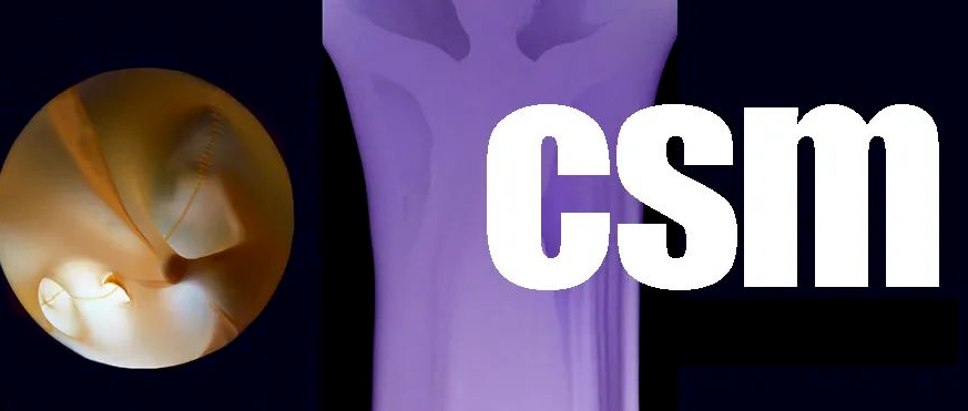 码住！伦艺6所学院59个专业新增视频要求大合集