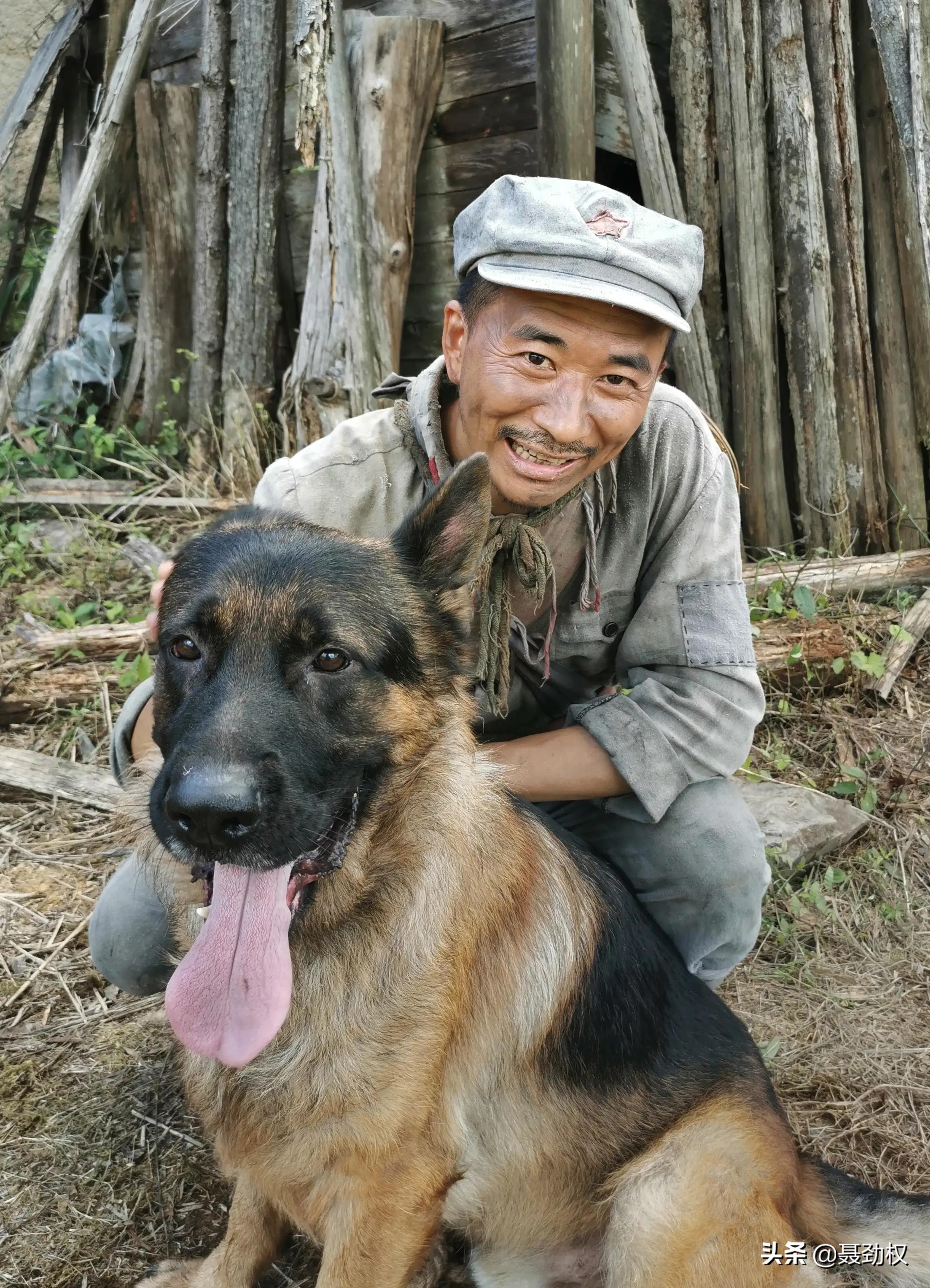 战争电影《云霄之上》中一条狼狗的来历