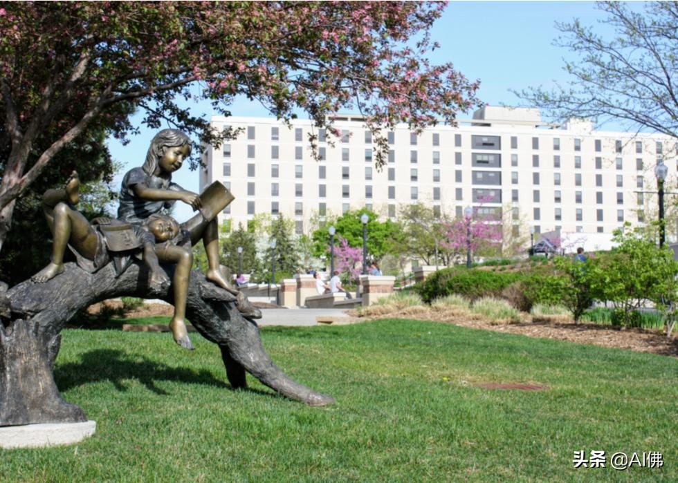 2022年美国大学排名最高的州