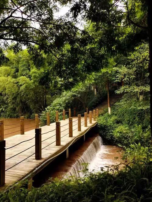 假期好去处！重庆这里野餐、烧烤、垂钓……轨道就可直达