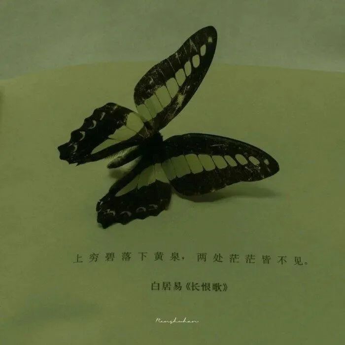 热门朋友圈封面背景图