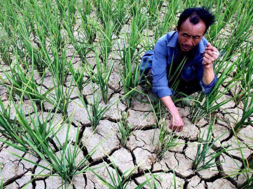 �ϴ������쳣�ķ�Ӧ�����ڷ����̼������̼��Լ���ͷŶ�5.3�ڶ�