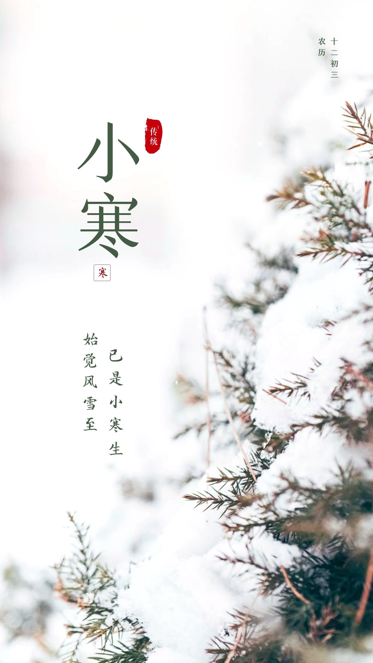 小寒图片配图大全,适合小寒节气发朋友圈抖音微博的文案说说句子