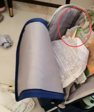 儿子立志要考清华北大，妈妈却在一旁无情嘲讽：你能考上猪都上树