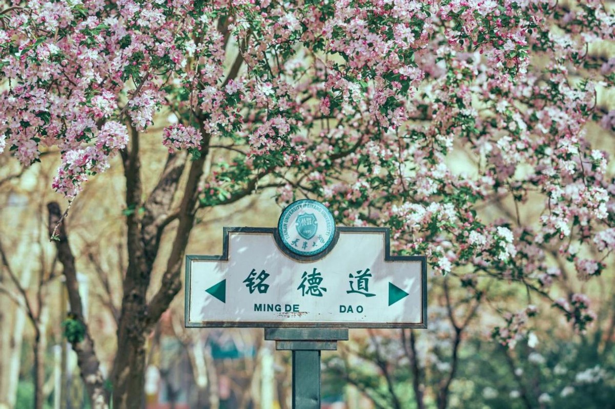 报考指南！天津大学好不好？哪里好？有多好？这4个“高分回答”值得一看！