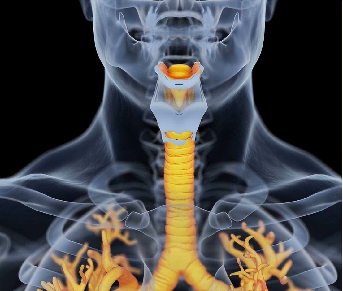 嗓子里总有痰，痰多吐不完？教你4招，切断“生痰之源”