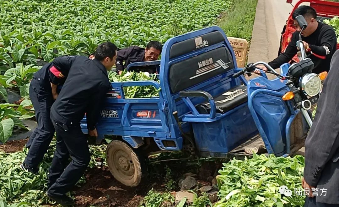 偶遇三轮车侧翻田间 民警出手暖心救助