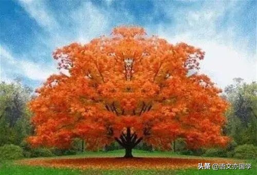 《荷塘月色》《故都的秋》《我与地坛》群文教学应该关注的点