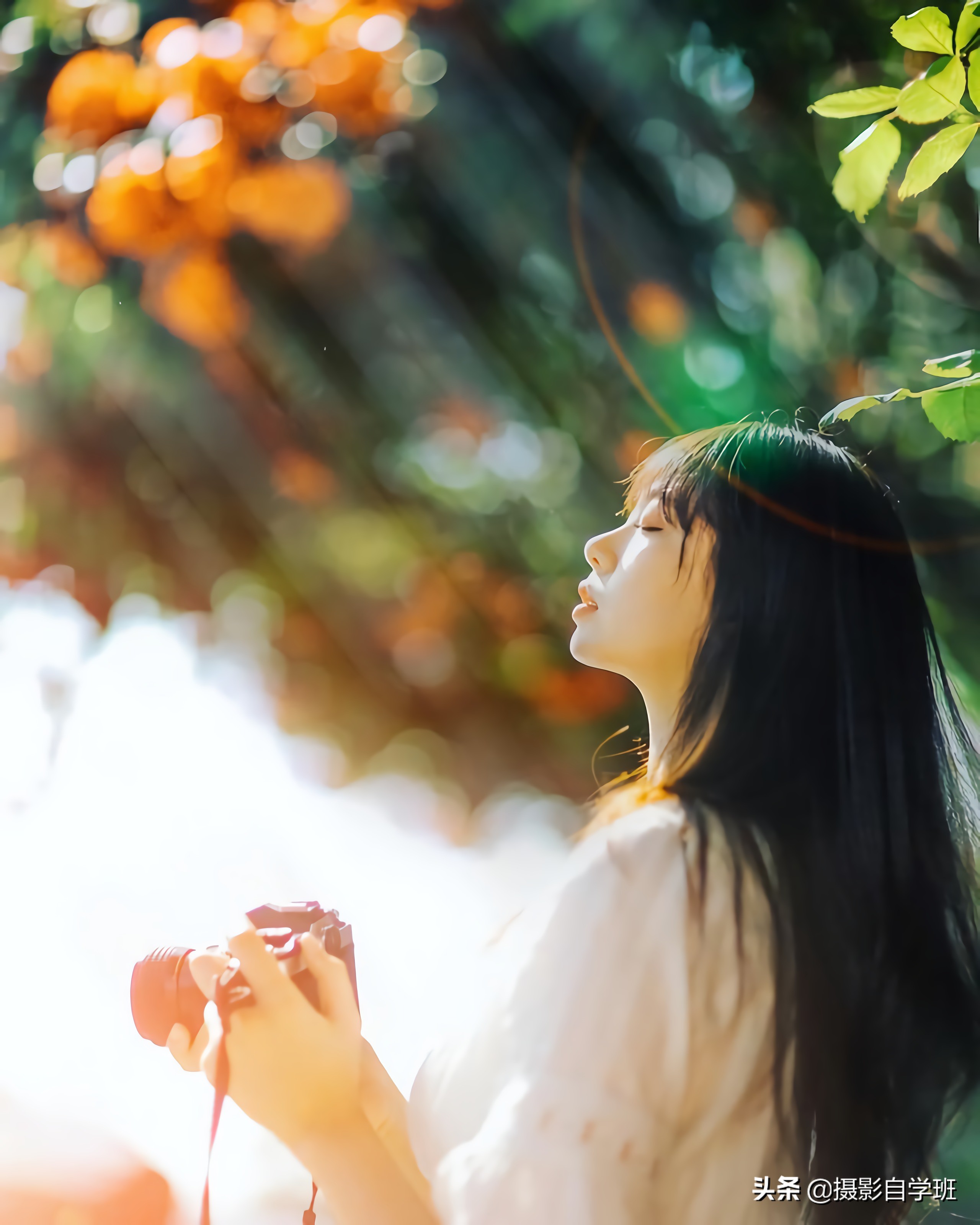 想从0开始,系统学习摄影,修图,手机摄影,手机修图,可