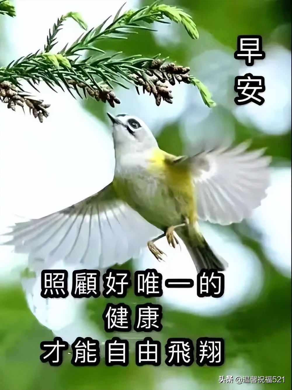 漂亮早上好表情图带字（早上好图片 最新图片）