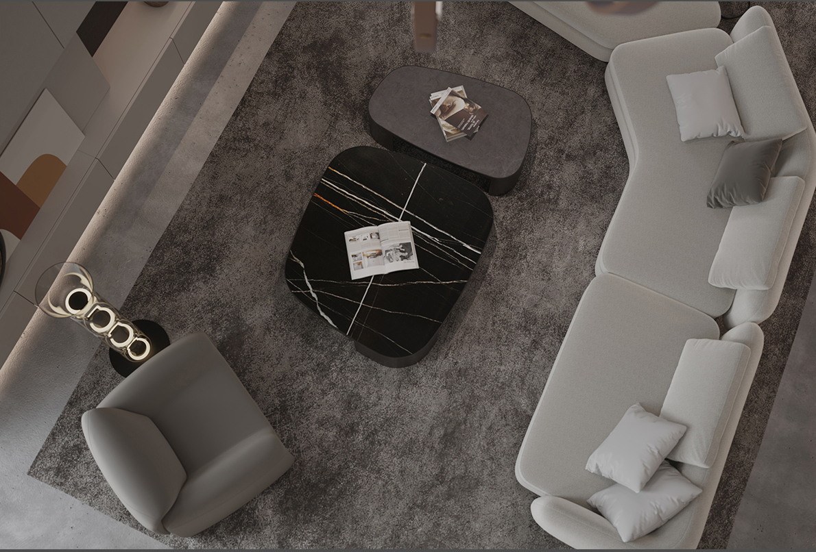 博洛尼有爱团聚归家享受美好