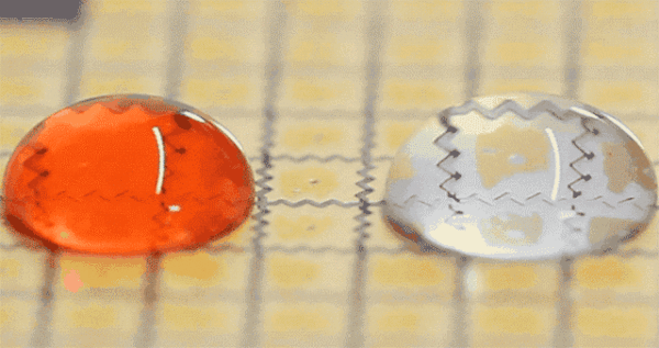 生活中的物理现象（动图解析）