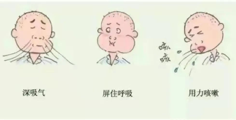 喉咙有痰吐不完?4种排痰方法还您一身轻松