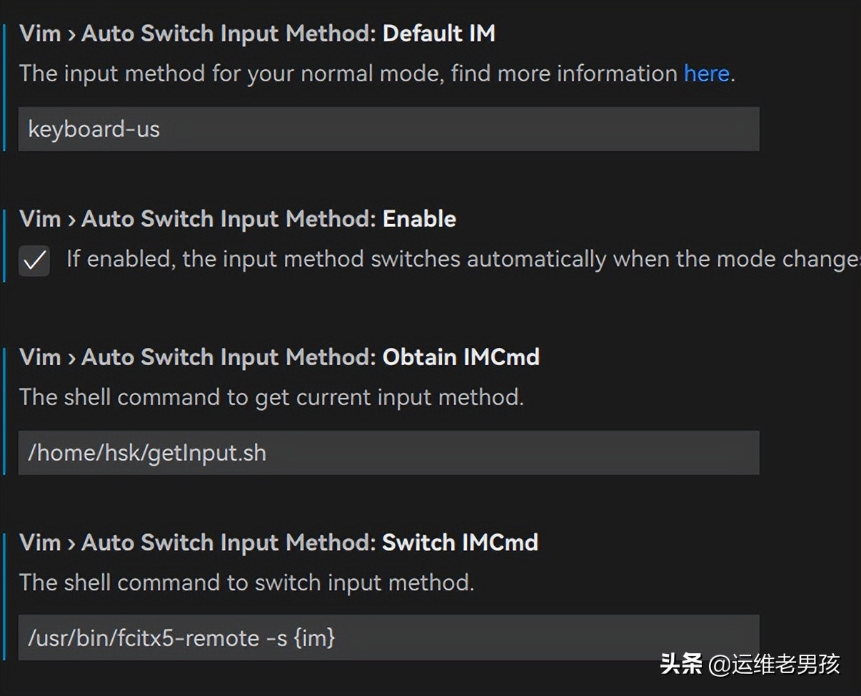 VS Code - Vim 插件自動切換輸入法