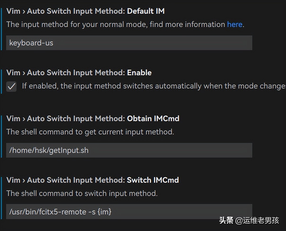 VS Code - Vim 插件自动切换输入法