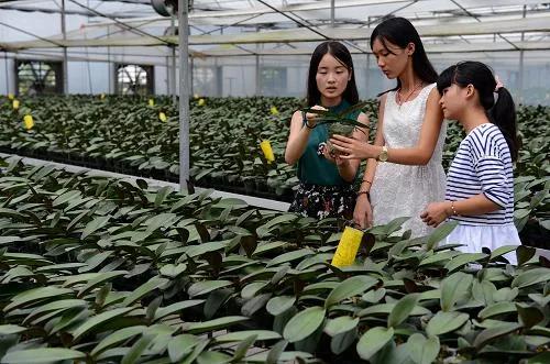 农民返乡做什么生意好？2022年适合农村的小生意