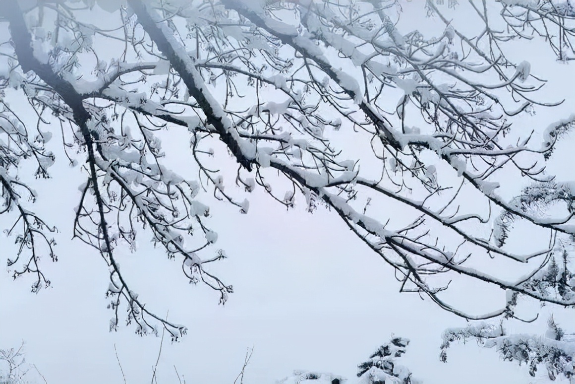 元王仲元《鬥鵪鶉·詠雪》:開門枝鳥散,玉絮墮紛紛.