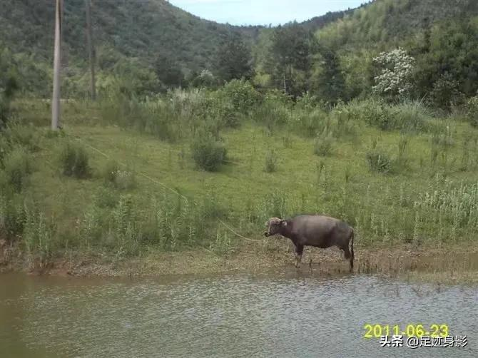 史记名言名句