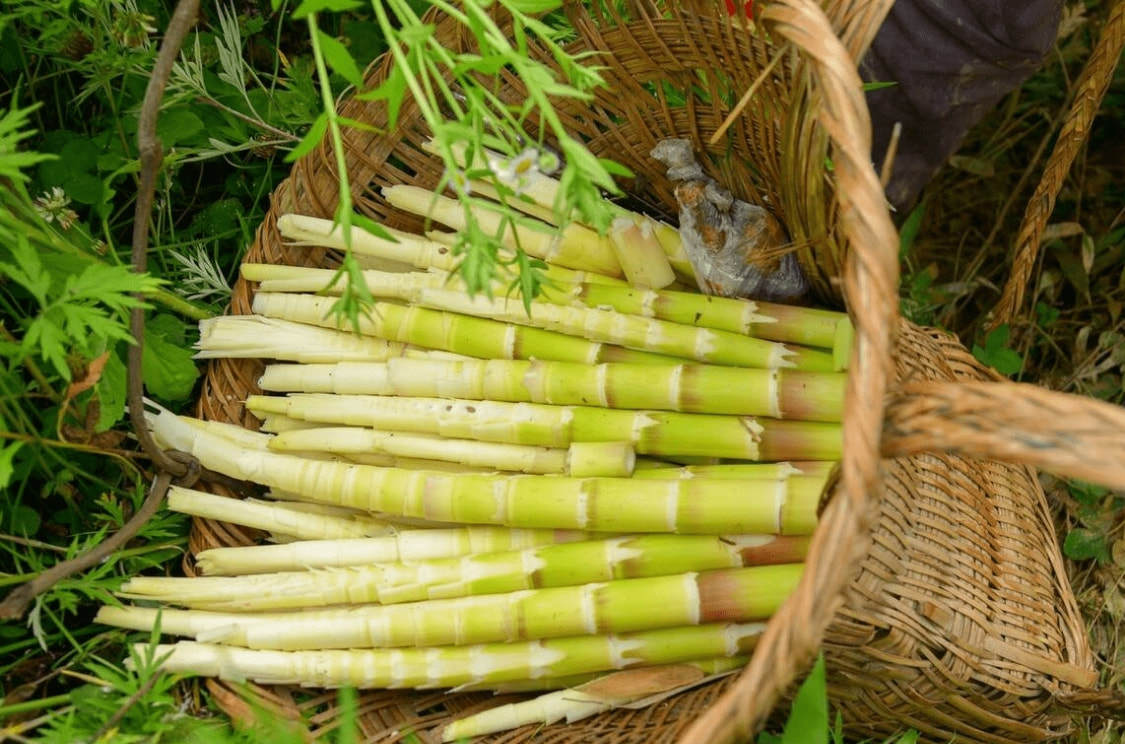 春分吃什么传统食物，春分再忙也别忘吃3菜3果3芽