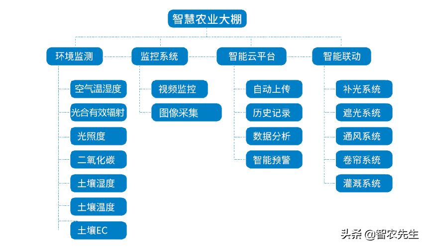 一个温室大棚年收入8万元，这是怎么做到的？