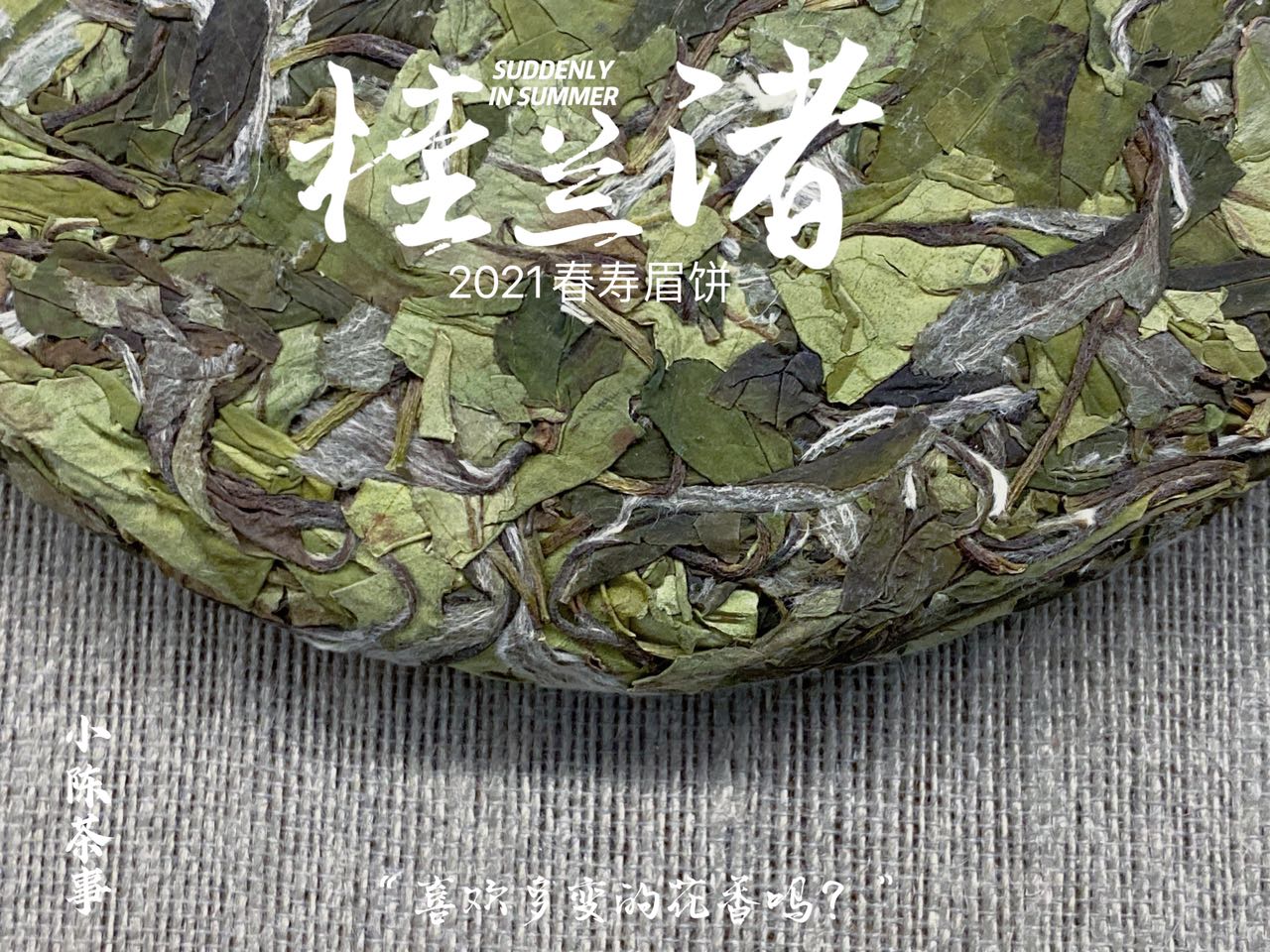 大红袍是红茶，铁观音是绿茶？六大茶类关系划分，你认清了吗？