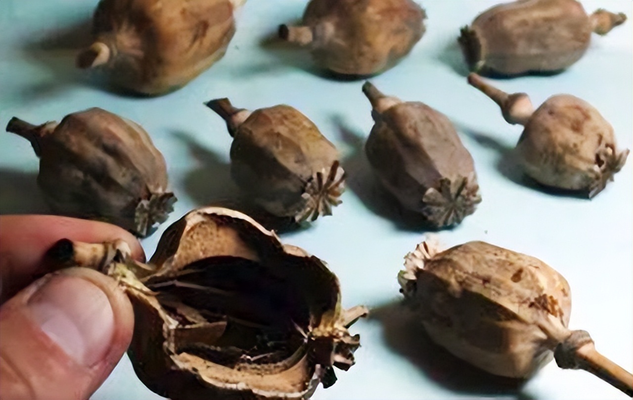 2015年四川小伙参军尿检呈阳性，后了一句话，牵出一桩食品大案