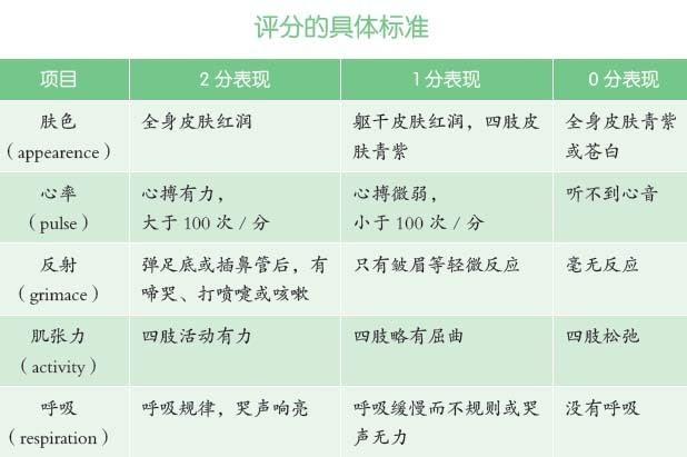 出生后的“黄金24小时”，新生宝宝都会经历哪些事？每一件都重要