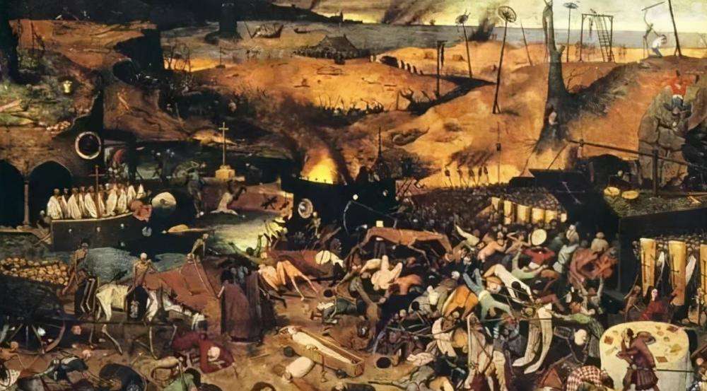 一只被打倾巢出动寻仇?它真的记仇吗?