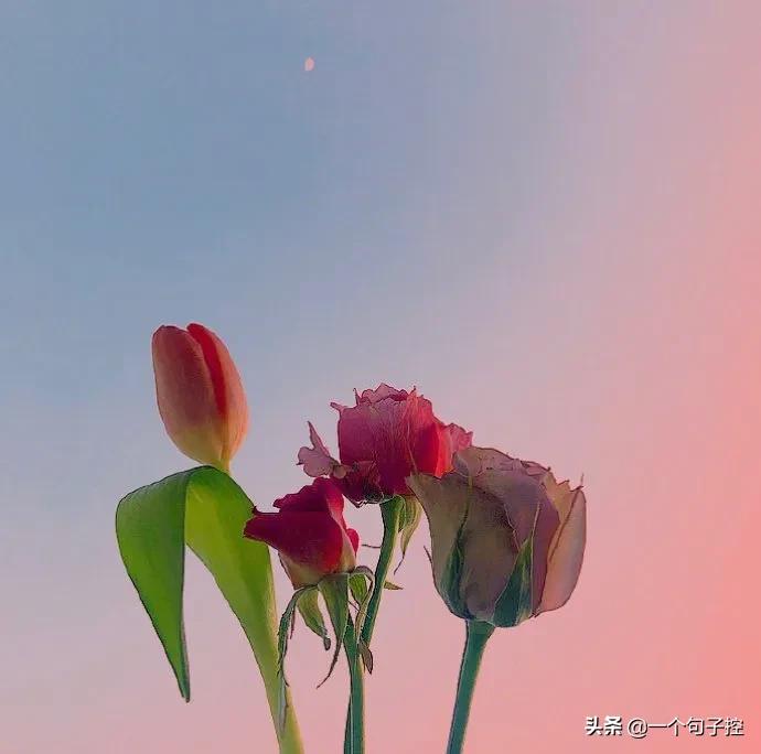 一扇不愿意为你开的门 一直敲是不礼貌的