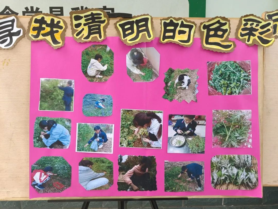 新兴小学劳动教育“小厨房”课程之“做青团”
