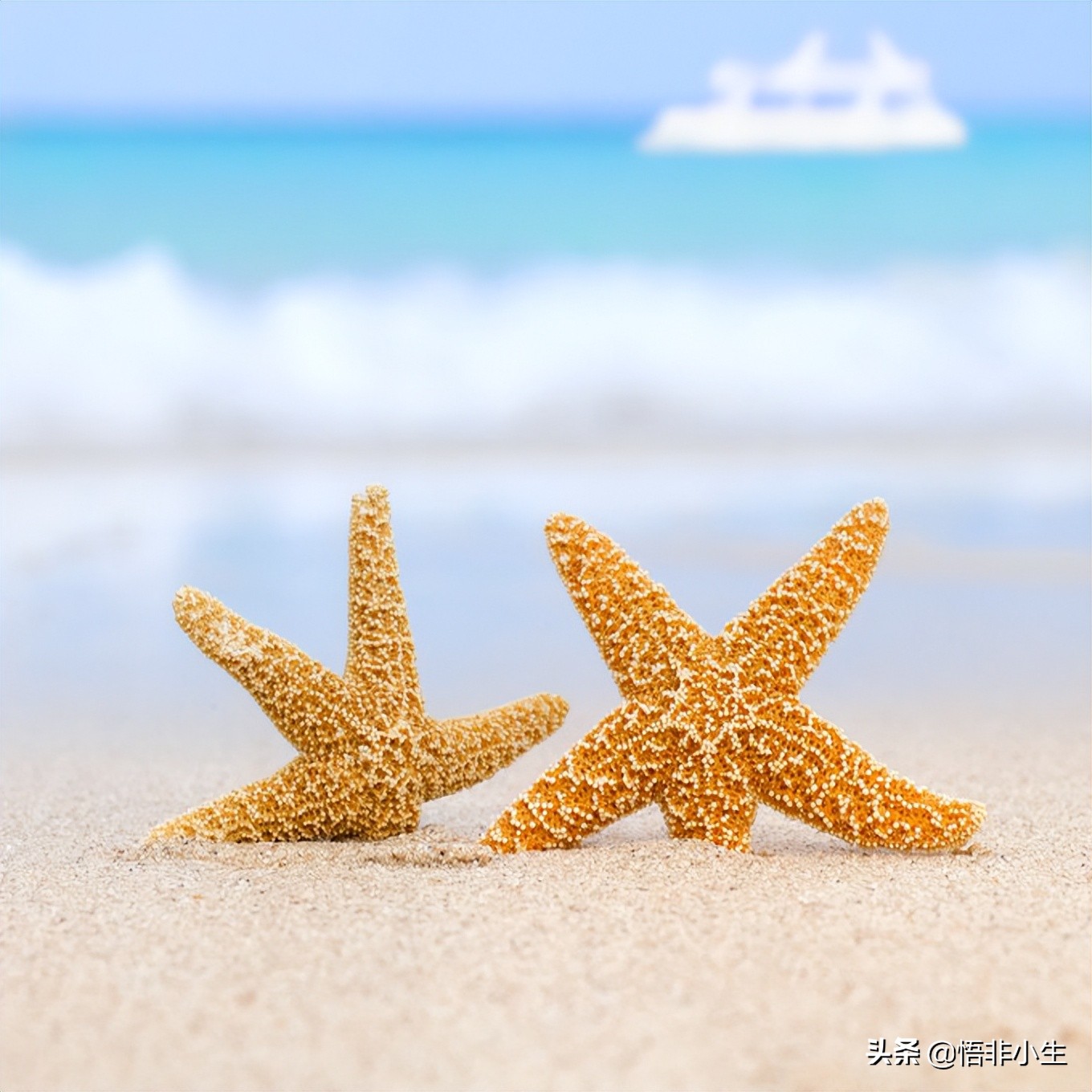 最唯美浪漫的10首现代诗，背会4首以上，你也是个温情的人