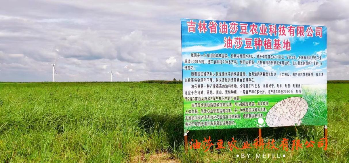 油莎豆农业：千亿级的豆类食品赛道，谁是下一个领跑者？