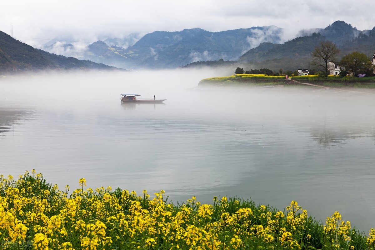 当唐诗宋词遇上春日美景，一起感受春天里的诗意美景
