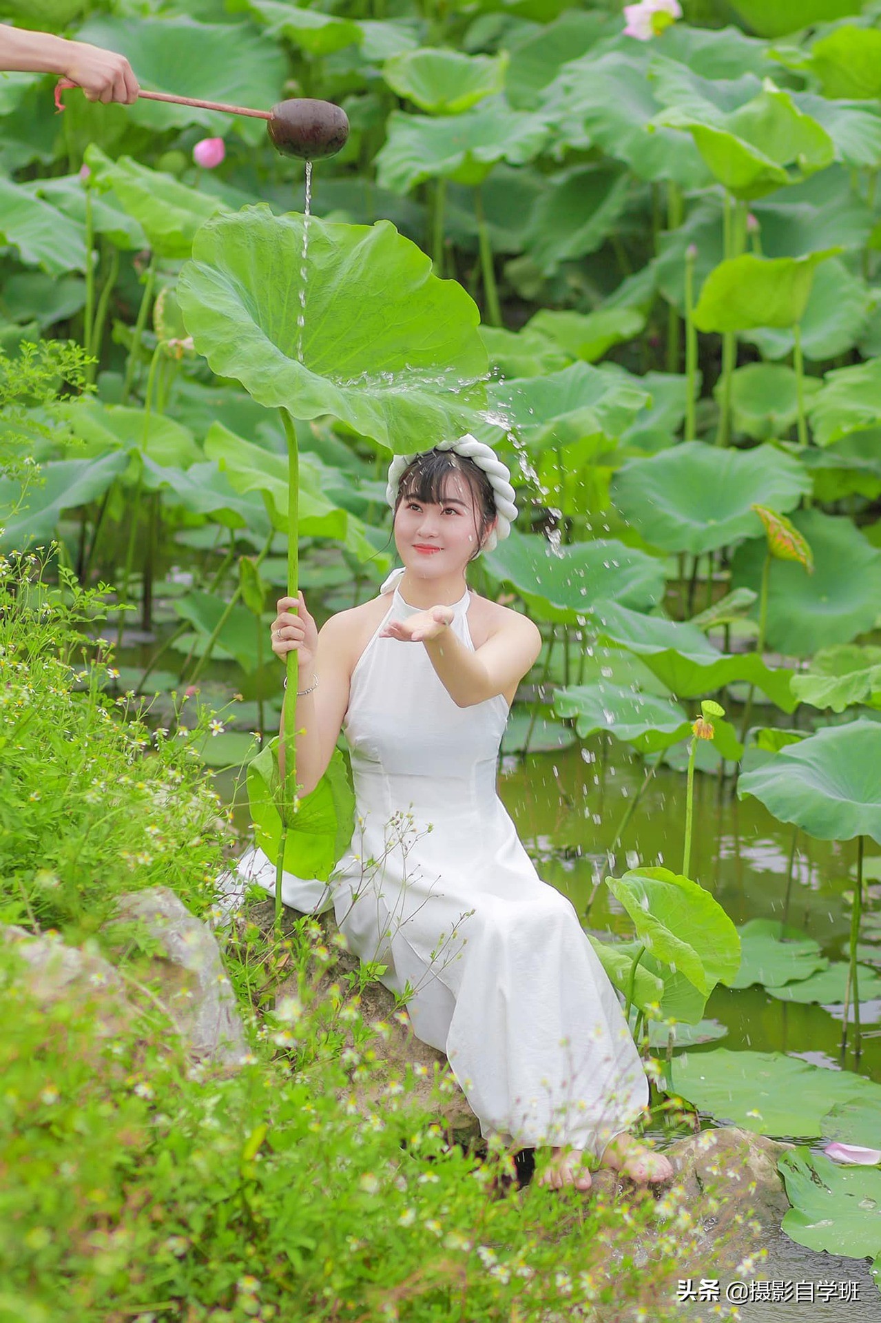 拍攝荷花人像注意這6個(gè)影響，必能拍出精品，經(jīng)久不衰
