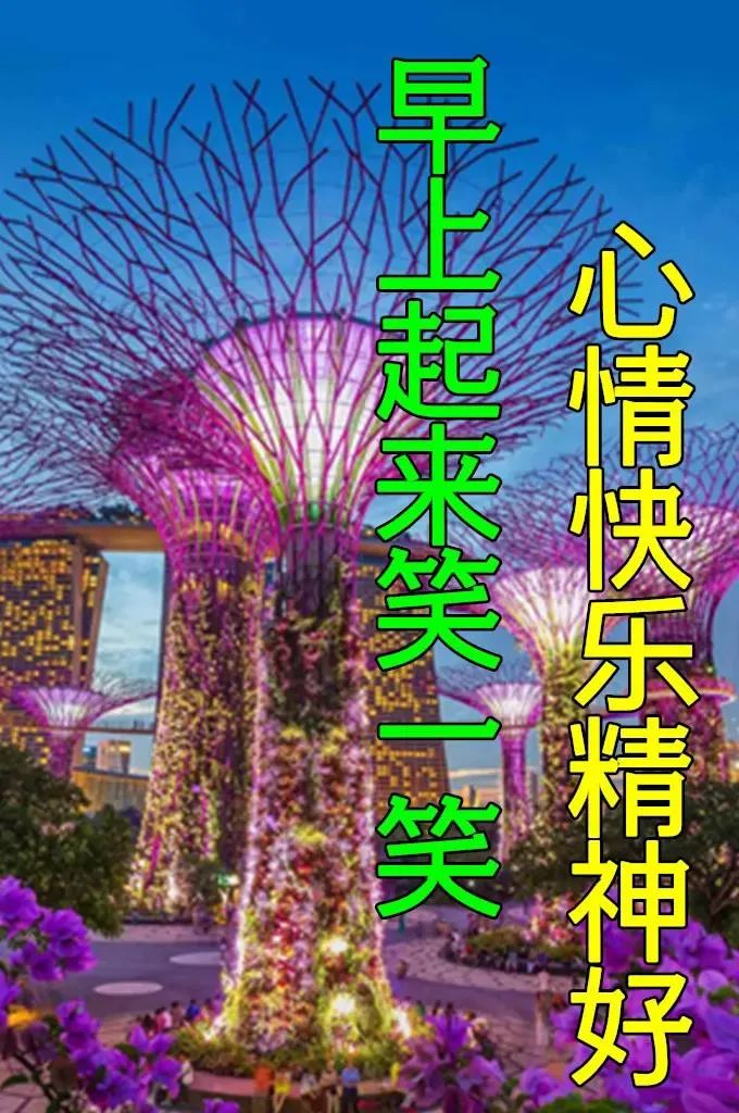 早安祝您安康快乐，愿你如诗，未来可期