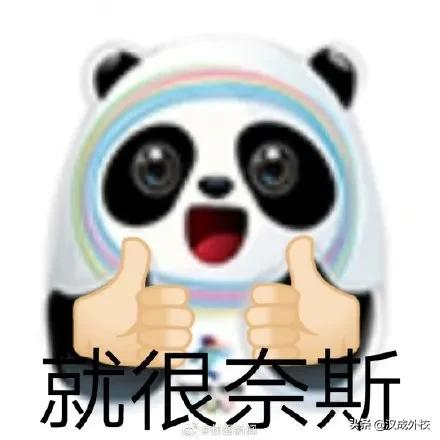 沉迷冰墩墩无法自拔,甚至想好了cv,论日本人到底多喜欢大熊猫