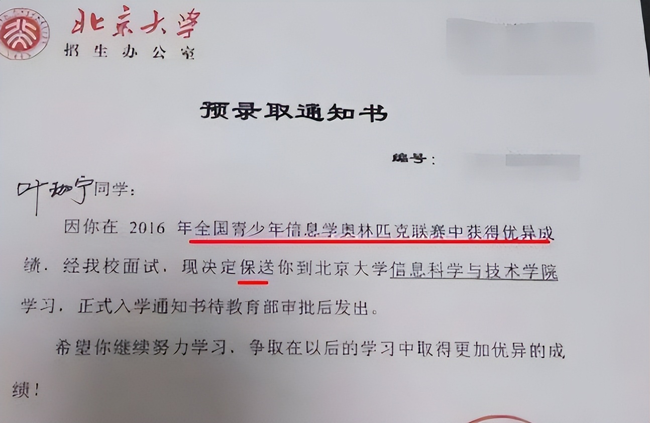 被称为“韦神”接班人，叶珈宁究竟有多优秀？看过他的履历就懂了