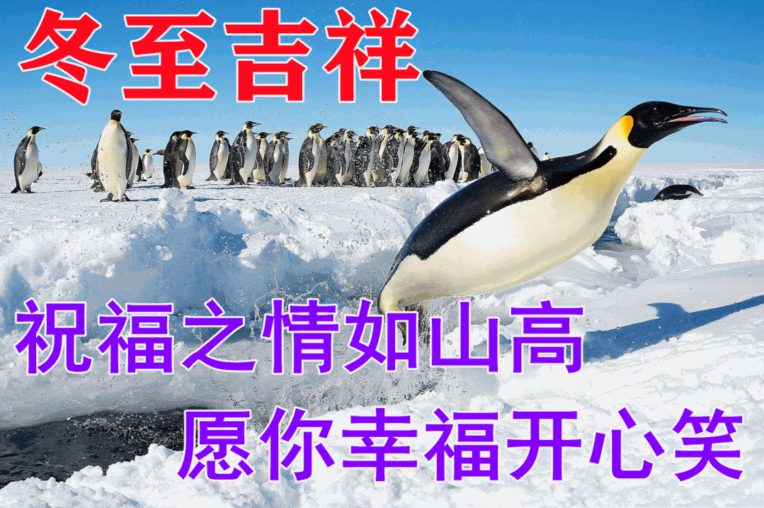 12月21日早上好祝福语图片 今日冬至愿你冬至快乐安好幸福到永远
