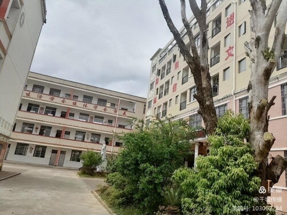 「瑞金發現@系列報道」岡面：從歷史走向未來