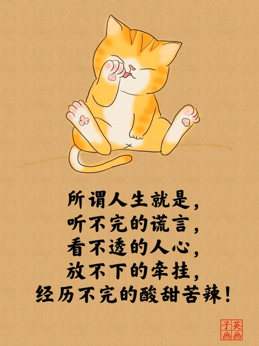 2022经典睿智的猫言猫语人生哲理大全