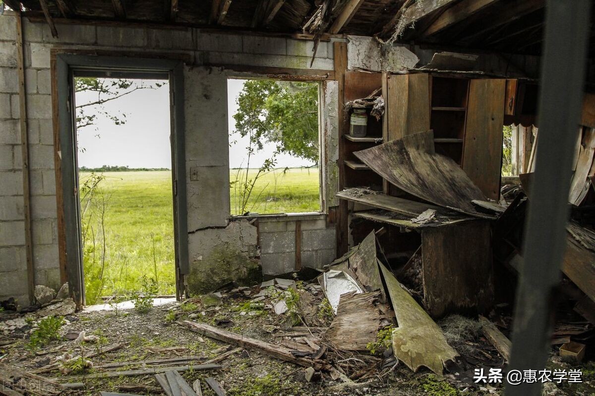 2022年农村房子可以买卖吗？需要哪些手续？