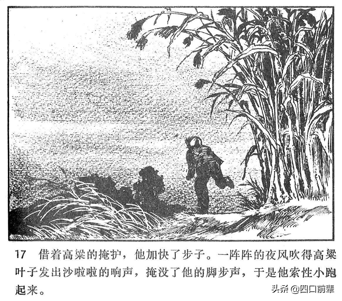 大虎和二虎 天津人民美术出版社 四口前辈 连环画 80后的回忆