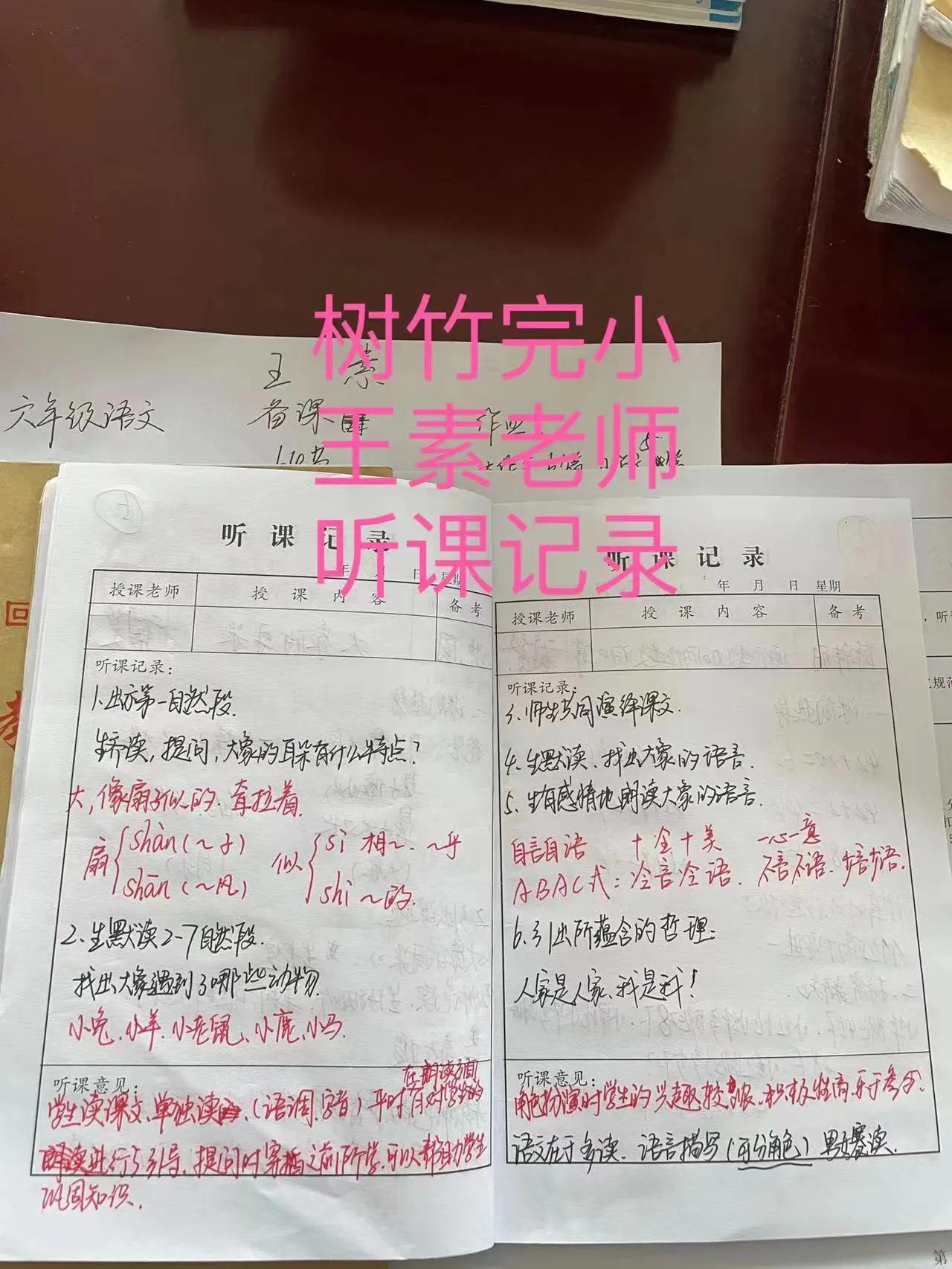 隆回县荷香桥镇中心学校进行教学常规及办学行为检查