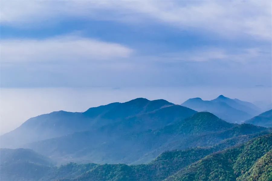 每月喝一种绿茶，神游祖国大好河山