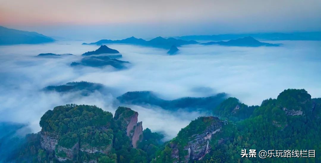 收藏！莲都春游好去处都在这里了