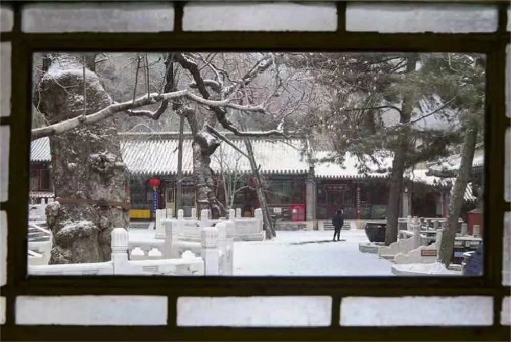 当春花遇上春雪，看京城别样的诗意与浪漫~