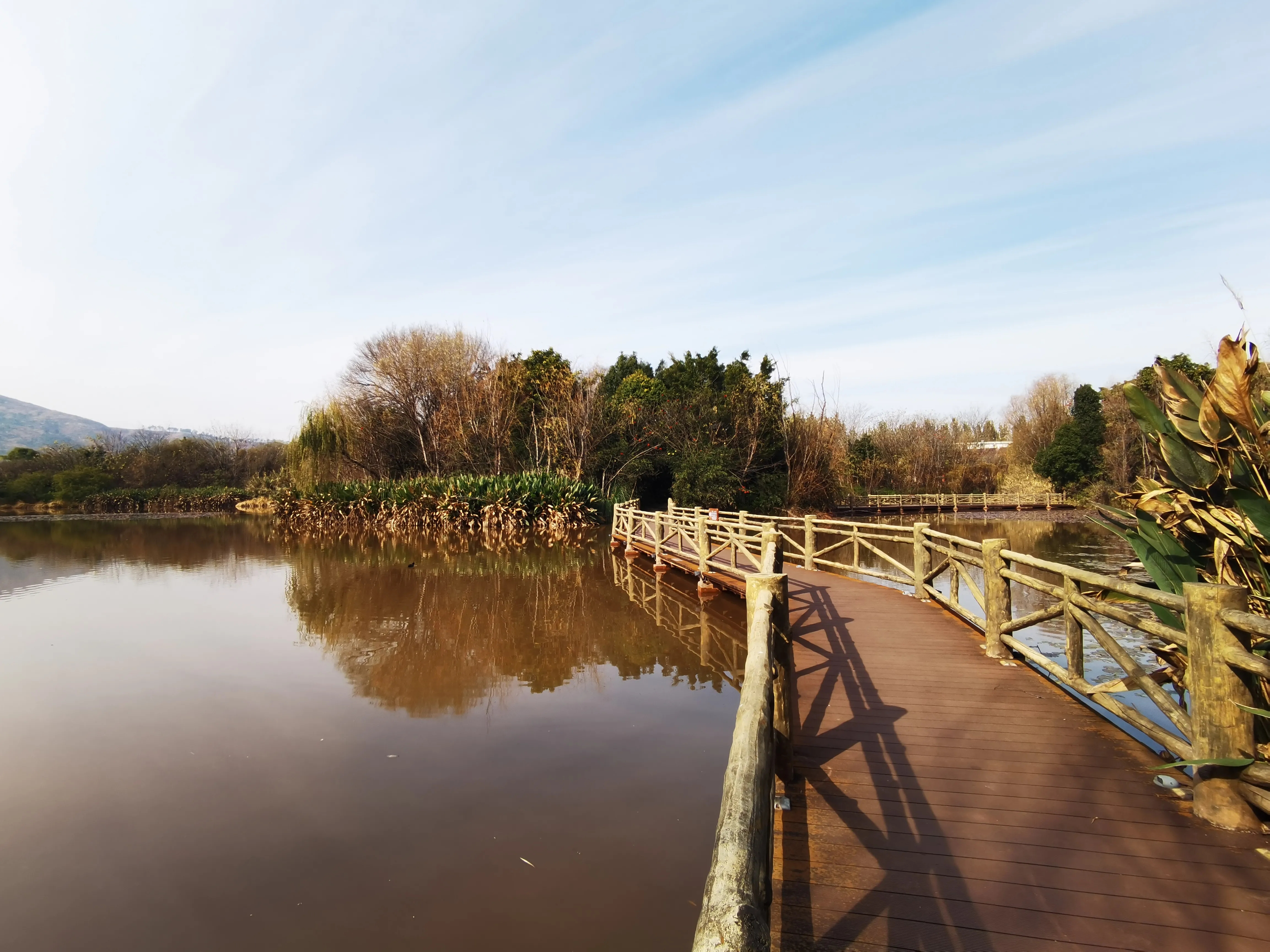 西昌邛海湿地公园让我喜忧参半,烟雨鹭洲公园让我惊喜